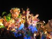 Carnevale Acireale 2007 - Img 1161