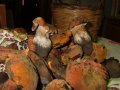 Funghi Etna - mistofunghi