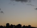 fotofauna - gru al tramonto