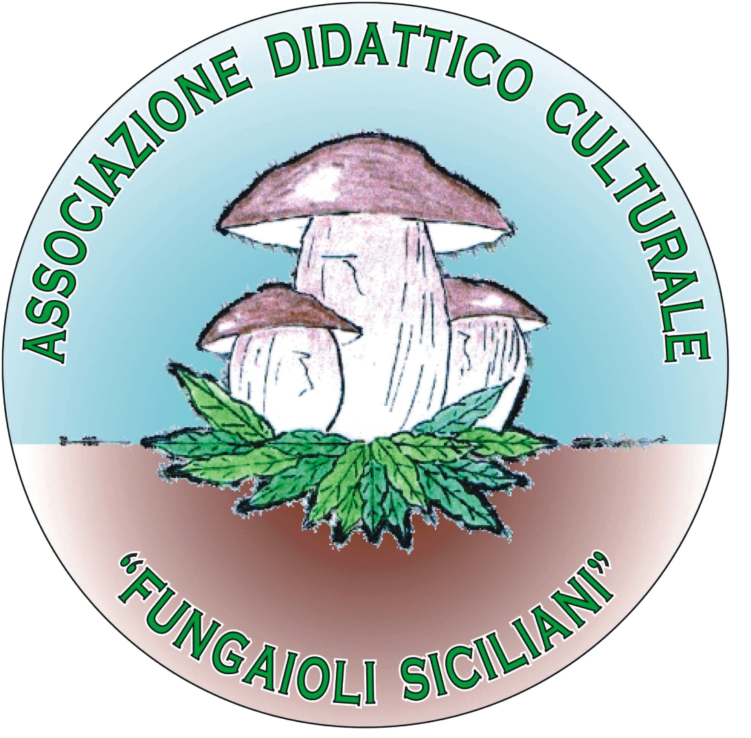 Fungaioli Siciliani- Convenzioni con i ristoratori
