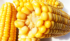 corn.png - 96,08 kB