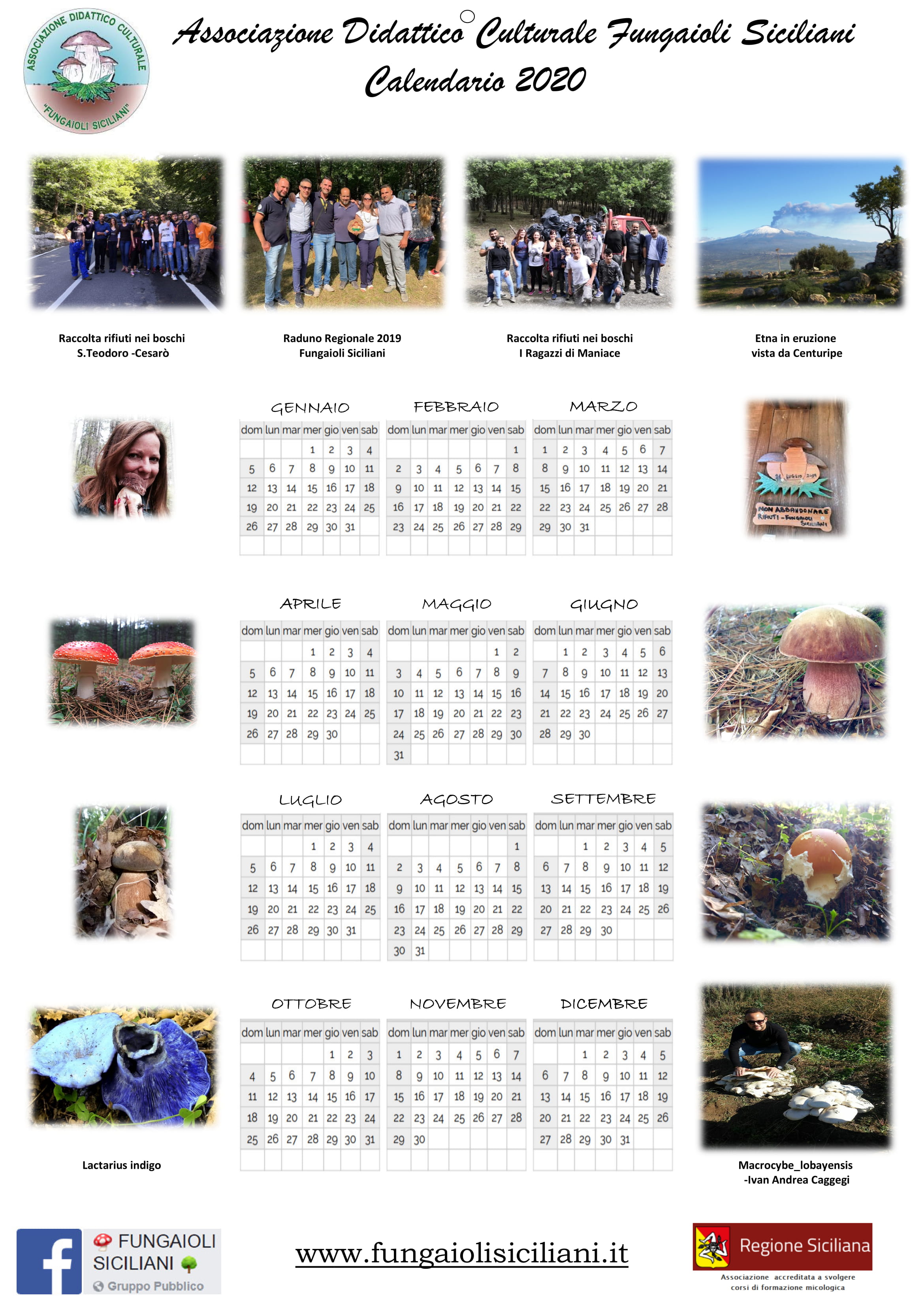 Calendario_2020_-_Rosita_Rugna-1.jpg - 878,23 kB