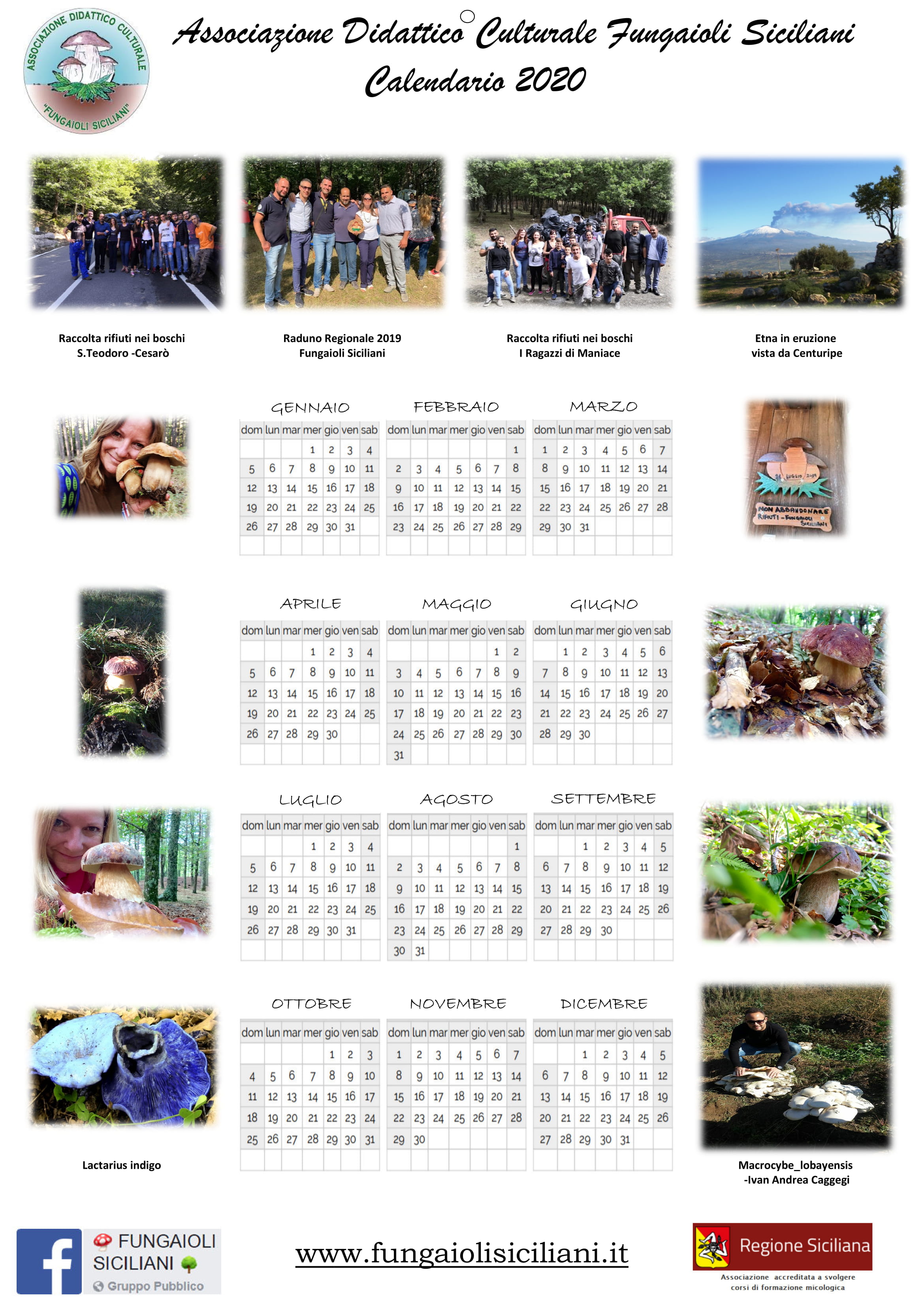 Calendario_2020_-_Rosita_Rugna_3-1.jpg - 914,46 kB