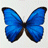 butterfly.gif - 2,71 kB
