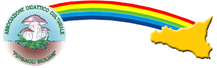 Fungaioli Siciliani